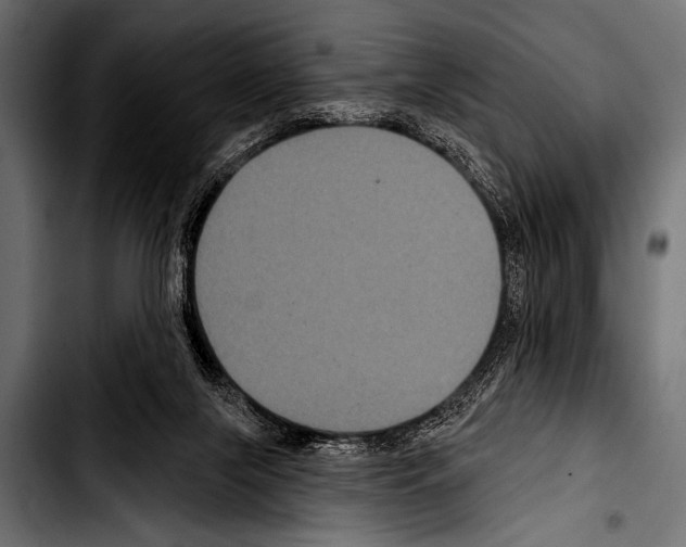 X0000103320071200810171411