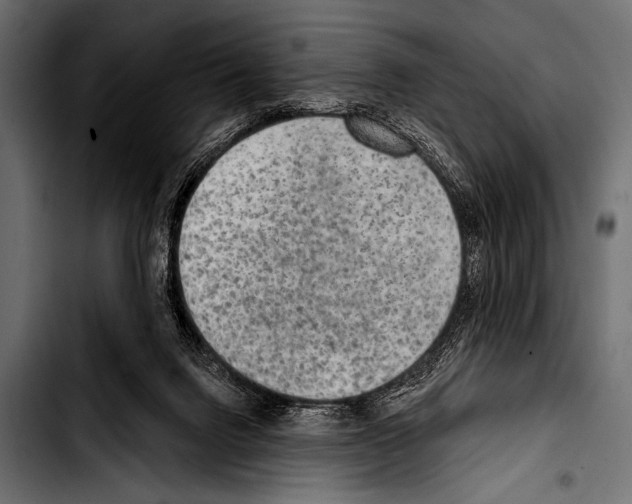 X0000103320072200810171411