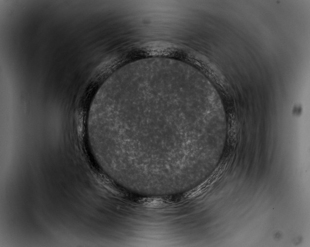 X0000103320074200810171411