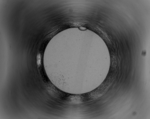 X0000103320075200810171411
