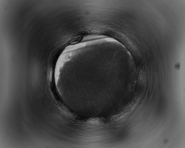 X0000103320076200810171411