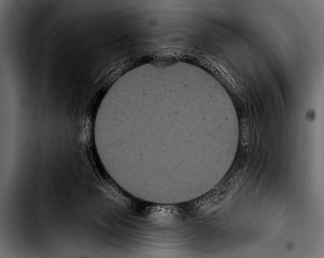X0000103320077200810171411