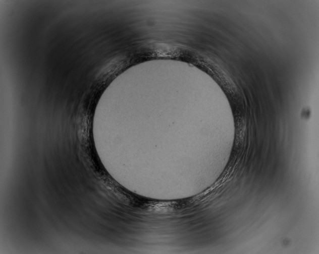 X0000103320078200810171411