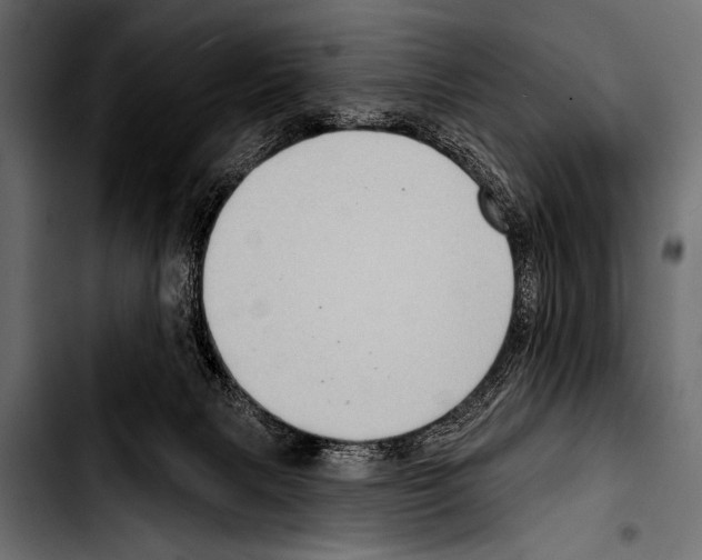 X0000103320079200810171411