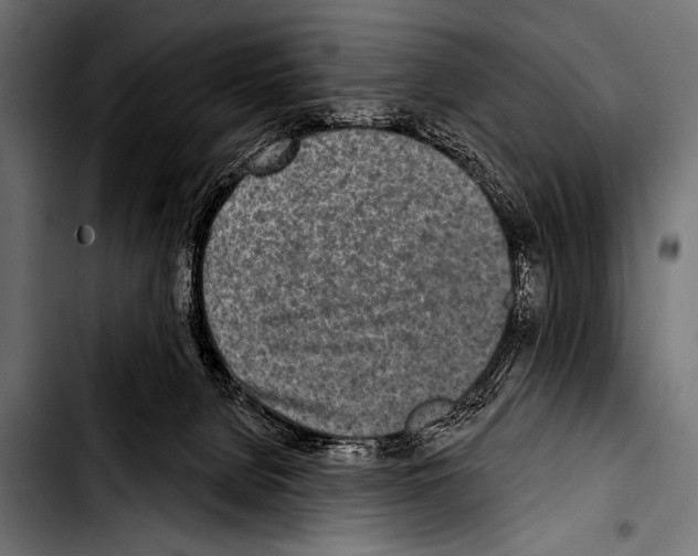 X0000103320080200810171411