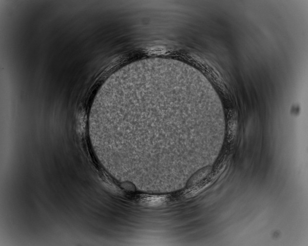 X0000103320081200810171411