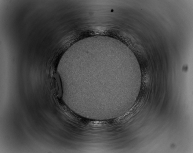X0000103320082200810171411