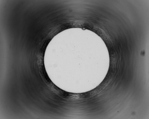 X0000103320083200810171411