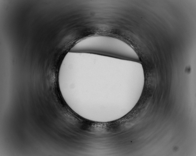 X0000103320084200810171411