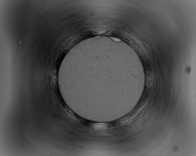 X0000103320085200810171411