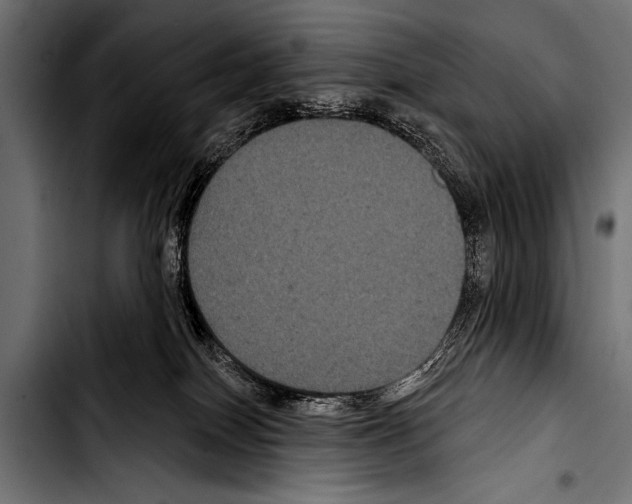 X0000103320086200810171411
