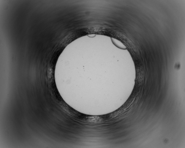 X0000103320087200810171411