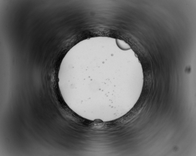 X0000103320088200810171411