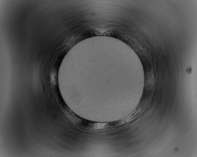 X0000103320090200810171411
