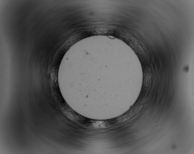 X0000103320091200810171411