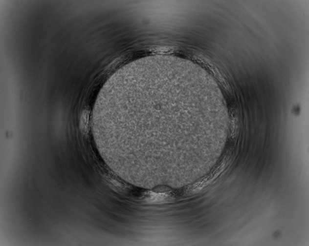 X0000103320093200810171411