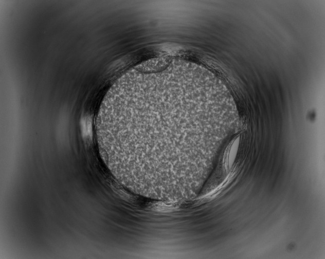 X0000103320094200810171411