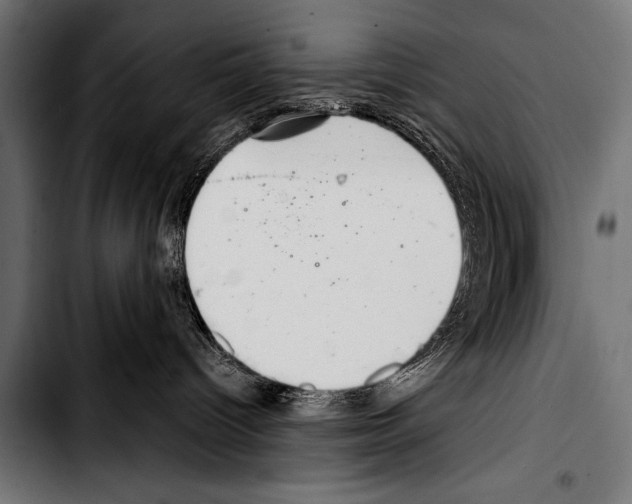 X0000103320096200810171411