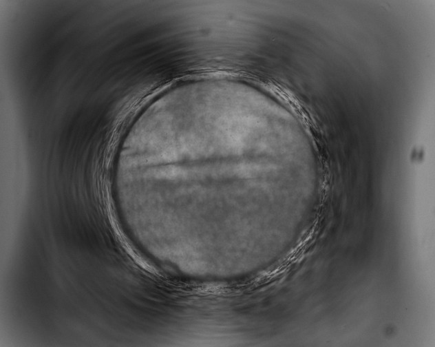 X0000103320097200810171410