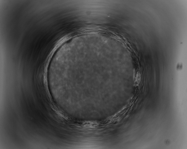 X0000103320099200810171410