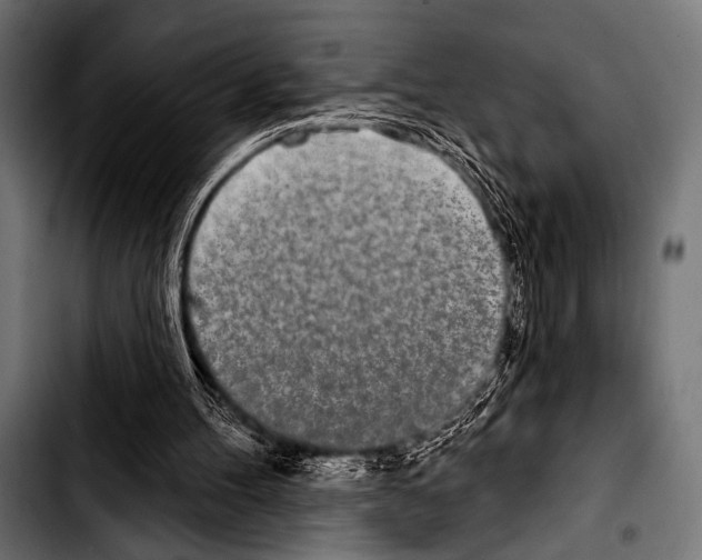 X0000103320100200810171410