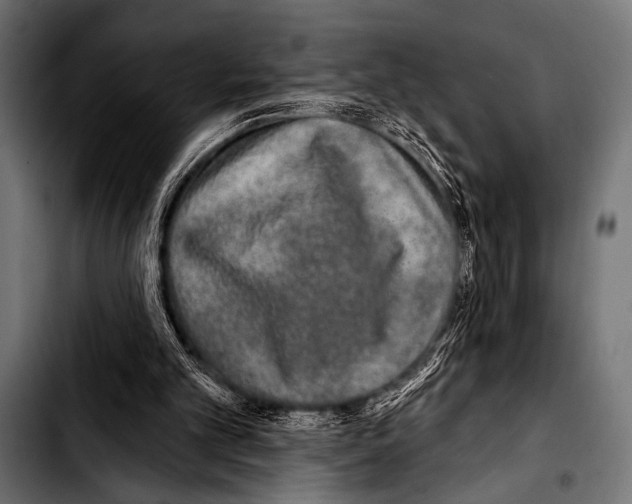 X0000103320101200810171410