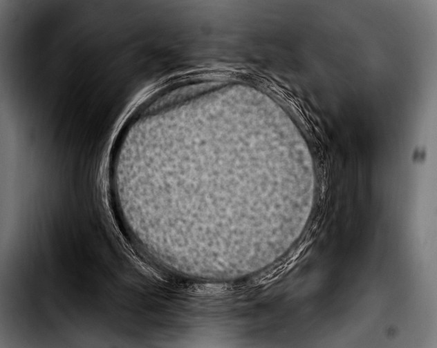 X0000103320102200810171410