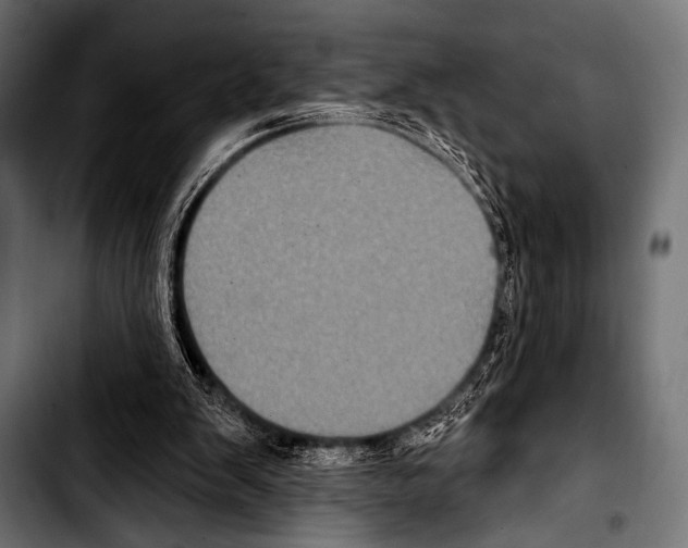 X0000103320103200810171410
