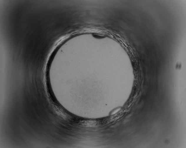 X0000103320104200810171410