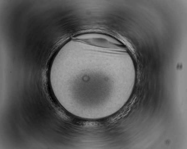 X0000103320105200810171410