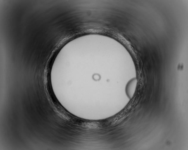 X0000103320106200810171410