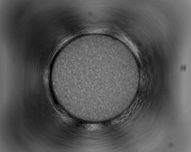 X0000103320107200810171410