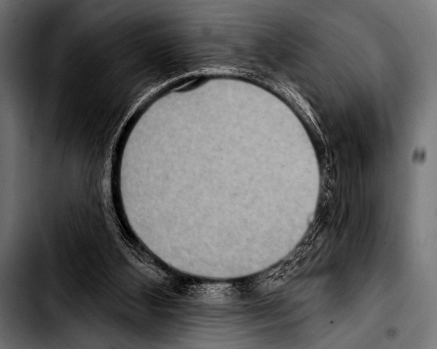 X0000103320108200810171410