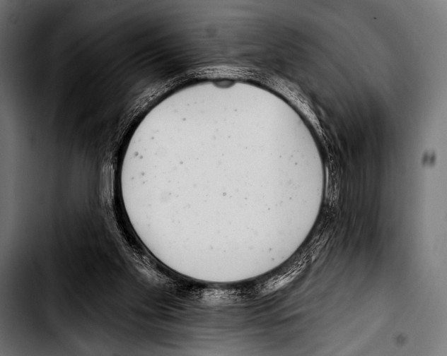 X0000103320109200810171410