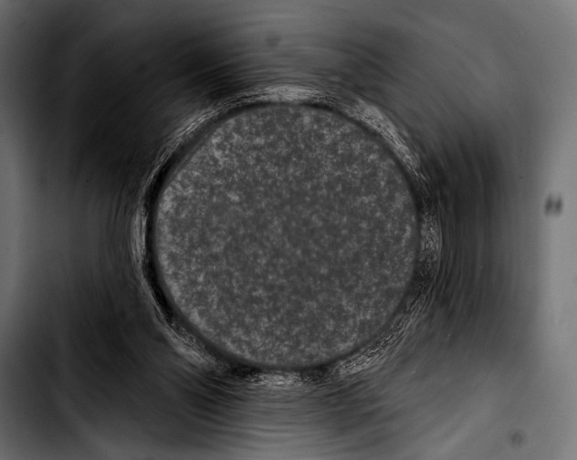 X0000103320110200810171410