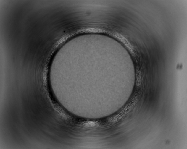 X0000103320111200810171410