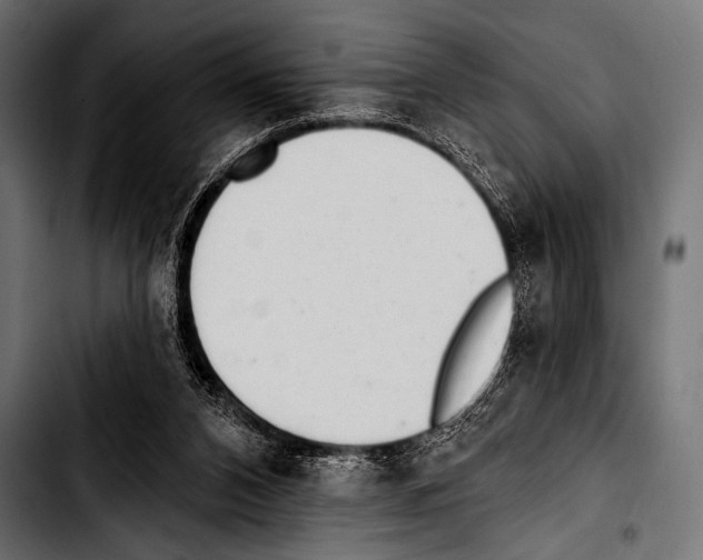 X0000103320112200810171410