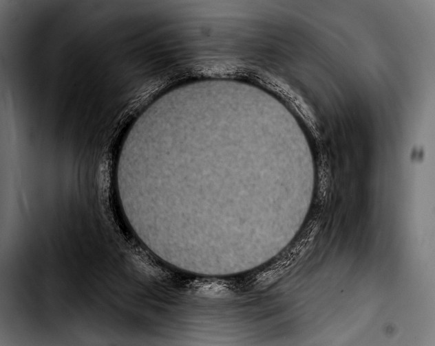 X0000103320113200810171410