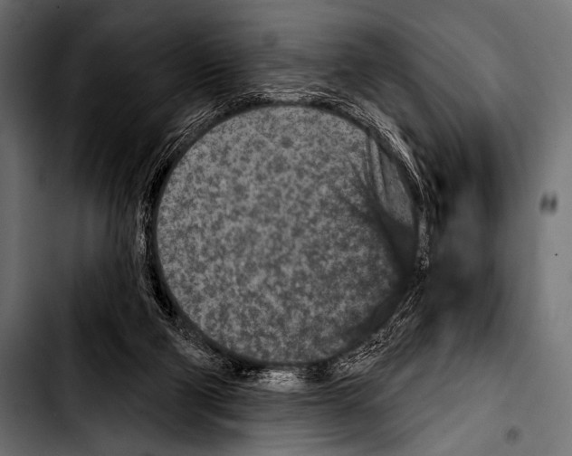 X0000103320114200810171410
