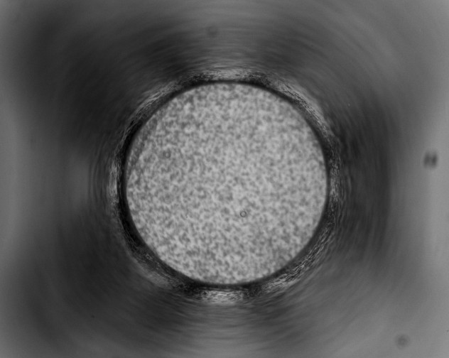 X0000103320115200810171410