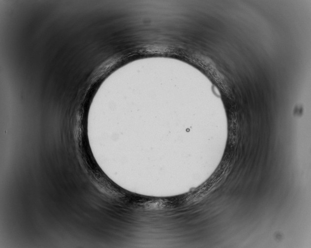 X0000103320116200810171410