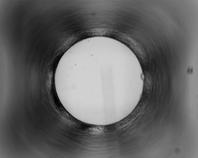 X0000103320118200810171410