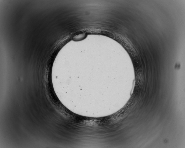 X0000103320120200810171410