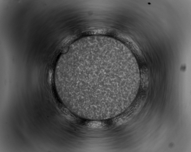 X0000103320123200810171410
