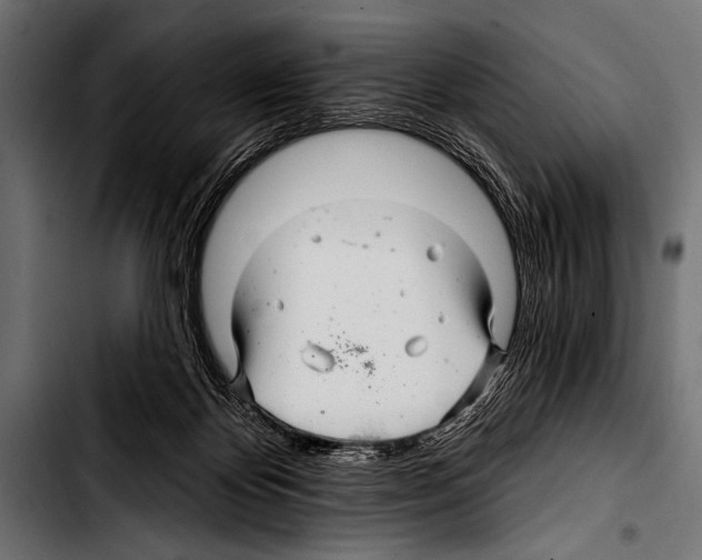 X0000103320124200810171410