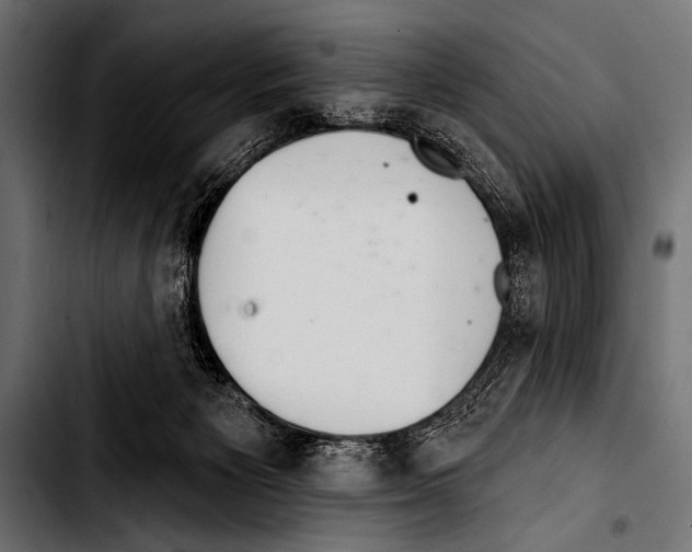 X0000103320125200810171410