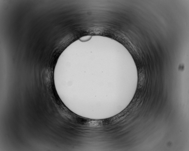 X0000103320126200810171410