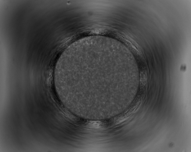 X0000103320127200810171410