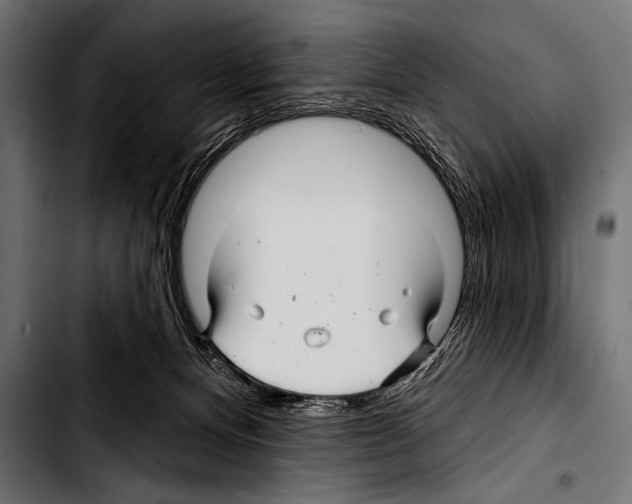 X0000103320128200810171410
