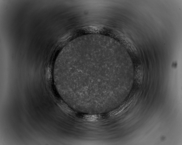 X0000103320131200810171410